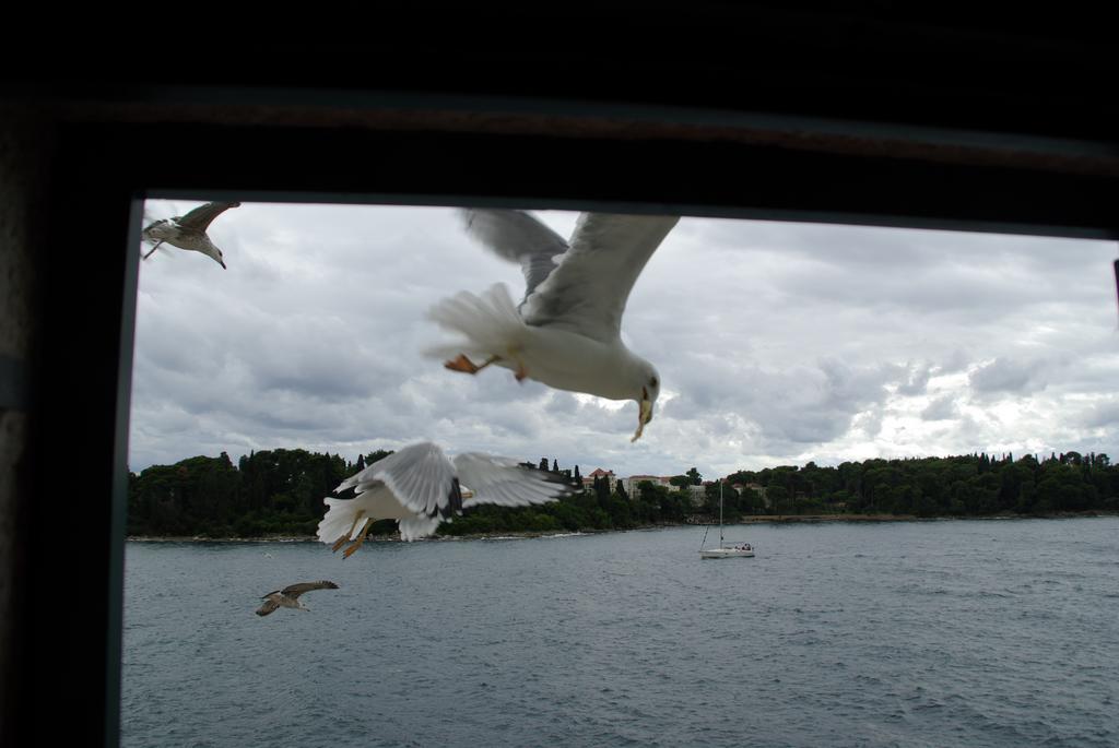 Casa Sul Mar Daire Rovinj Oda fotoğraf